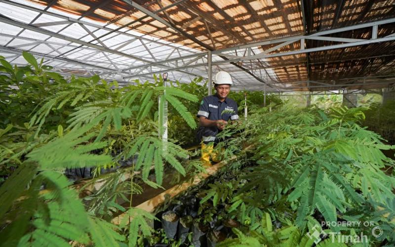 Grup MIND ID Reklamasi 8.000 Hektare Lahan dan Rehabilitasi DAS 37.700 Hektare, Perbaiki Kualitas Keanekaragaman Hayati
