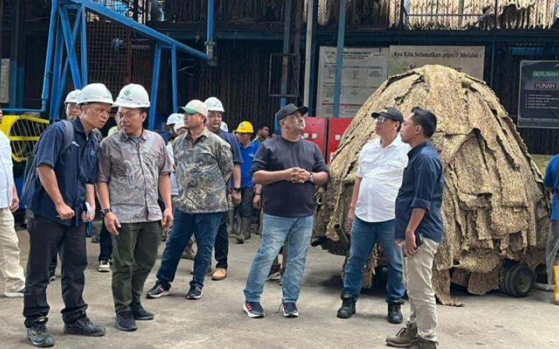 Holding Perkebunan Nusantara Perkuat Produktivitas Karet, PTPN I Fokus Benahi Kebun Padang Pelawi