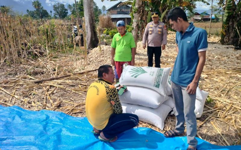 Polda Bengkulu Musnahkan Barang Bukti Ganja Seberat 39,66 Gram 