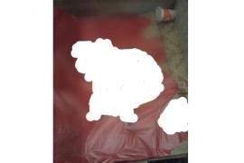 Ditemukan Mayat Bayi Dalam Lubang Kamar Mandi Rusun Cibesel