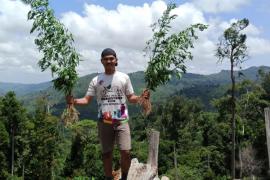 Temuan Ladang Ganja