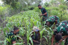 Satgas TMMD Bantu Lansia Bersihkan Kebun Jagung