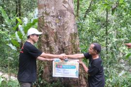 Bupati Bengkulu Utara Wajibkan OPD Asuh Pohon di Hutan Desa Lemo Nakai