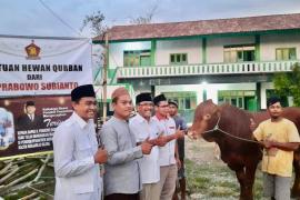 Prabowo Subianto Salurkan Sapi Qurban ke Ponpes dan Tokoh Agama