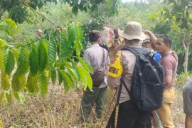 Tanggapi Keluhan Warga, Polsek Pino Cek TKP Penuman Harimau  