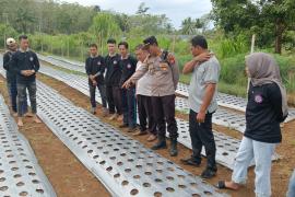 Serap Informasi dari Masyarkat, Kapolsek Padang Jaya Blusukan ke Petani Bawang Merah 