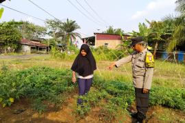 Dukung Ketahanan Pangan, Bhabinkamtibmas Sambang DDS Tanaman Sayuran di Kecamatan Ketahun 