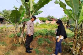 Bhabinkamtibmas Sambang DDS Tanaman Sayuran Dukung Ketahanan Pangan Warga Binaan 