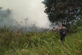 Polisi dan Warga Padamkan Api Karhutla di Rimbo Pengadang
