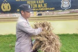 Ciptakan Lingkungan yang Bersih dan Nyaman, Polsek Maje Gelar Kegiatan Saling 