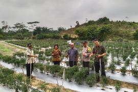 Polri Sahabat Petani, Bhabinkamtias Polsek Ketahun Sambang Warga Binaanya