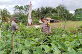 Sambang Warga Tanaman Pangan Lestari Bhabinkamtibmas Polsek Ketahun Turun Langsung ke Desa