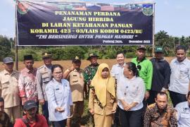 Polsek Padang Jaya Hadiri Giat Penanaman Perdana Jagung Hibrida untuk Meningkatkan Ketahanan Pangan