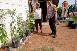 Sinergi Polri dalam Mendukung Ketahanan Pangan, Bhabinkamtibmas Sambangi Petani di Desa Sekiau