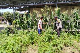 Cipatkana Keamanan, Bhabinkamtibmas Polsek Ketahun Sambangi Patroli Sambangi Warga Binaanya
