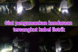 Supir Tronton Pengangkut Alat Berat Tewas Kesetrum, ini Penyebabnya 