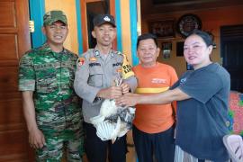 Dukung Program Ketahanan Pangan, Babinkamtibmas Polsek Batiknau  Bersinergi Dengan Babinsa Koramil Lais