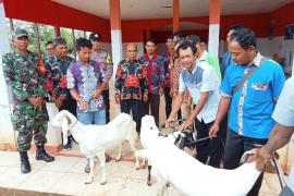 Bhabinkamtibmas Polsek Ketahun Hadiri Penyerahan Ternak Kambing