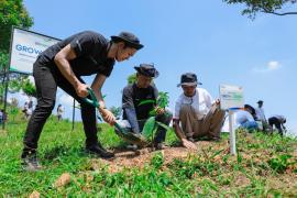 Pulihkan Hutan Bekas Tambang, Aksi Nyata Kelompok Tani Selamatkan Lingkungan Bersama BRI Menanam-Grow dan Green