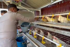 Polsek Pagar Jati Cek Perkarangan Bergizi, Dukung Ketahanan Pangan