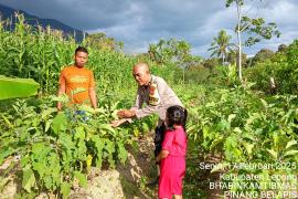 Bhabinkamtibmas Polsek Lebong Utara Monitoring Tanaman Bergizi