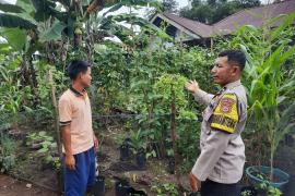 Polsek PU. Tanding Dukung Ketahanan Pangan, Bhabinkamtibmas Ajak Warga Manfaatkan Pekarangan