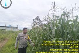 Personel Polsek Lebong Selatan Monitoring Pekarangan Pangan BergiziPersonel Polsek Lebong Selatan Monitoring Pekarangan Pangan Bergizi