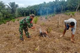 Anggota Satgas TMMD Ke-124 Kodim 0408/BS Bantu Warga Bersihkan Kebun Sawit