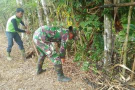 Anggota Satgas TMMD Ke-124 Kodim 040/BS  Bantu Warga Bersihkan Kebun Pinang