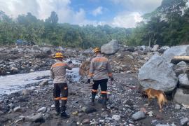 Tim K9 SAR Ditpolsatwa Baharkam Polri Diterjunkan Bantu Pencarian Korban Bencana Alam di NTT