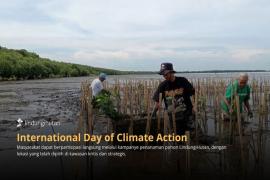 Ilustrasi Berita (LindungiHutan)