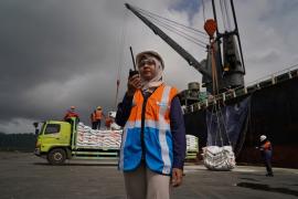 Ilustrasi Berita (PT Pelindo Multi Terminal)