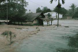 Deforestasi di Sumatra Memicu Kayu Hanyut Saat Banjir, LindungiHutan Serukan Reforestasi Hulu DAS
