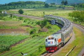 KAI Daop 1 Jakarta Catat Enam Kejadian Pohon Tumbang Sepanjang 2025, Seluruhnya Berhasil Ditangani dengan Cepat