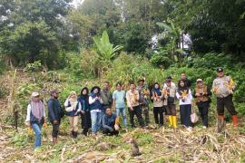 Panen Jagung Program Ketahanan Pangan di Desa Ujung Tanjung I Berlangsung Sukses
