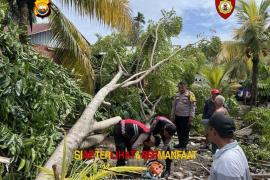 Personel Samapta Polda Bengkulu Gerak Cepat Evakuasi Pohon Tumbang di Rumah Warga