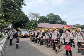Den K9 Sar Ditpolsatwa Korsabhara Baharkam Polri Perkuat Penanganan Bencana Longsor Di Pasirlangu