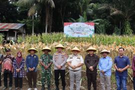 Polres Bengkulu Selatan Ikuti Zoom Panen Raya Jagung Serentak Nasional, Dukung Ketahanan Pangan