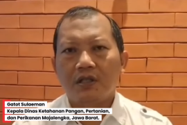 Gatot Sulaeman, Kepala Dinas Ketahanan Pangan, Pertanian, dan Perikanan Majalengka, Provinsi, Jawa Barat.