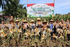 Polres Bengkulu Selatan Gelar Panen Raya Jagung Serentak Kuartal IV, Dukung Swasembada Pangan 2025