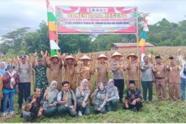 Panen Raya Jagung Sumberejo Transad, Sinergi Polri–Masyarakat Antarkan Juara SADESAHE dan Perkuat Ketahanan Pangan Bengkulu