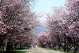 Rekomendasi Event Lari Maraton & Jalan Santai di Hokkaido