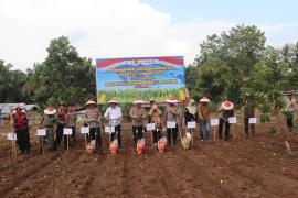 Kapolda Bengkulu Pimpin Tanam Raya Jagung Serentak di Bengkulu Tengah, Dukung Swasembada Pangan Nasional