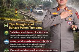 Kapolres Lebong Imbau Pengendara Tingkatkan Kewaspadaan Terkait Pohon Tumbang