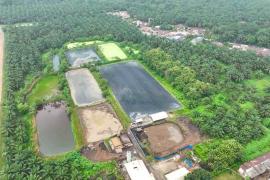 Hadapi Gejolak Energi Global, Holding Perkebunan Nusantara Andalkan PLTBg PalmCo
