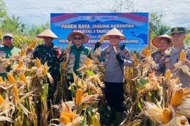 Polres Kaur Hadiri Panen Raya Jagung, Kapolres Apresiasi Peran Petani Dukung Swasembada Pangan