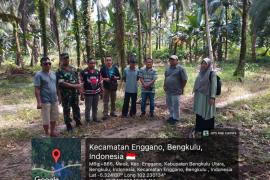 Hilirisasi Kelapa Dalam Buka Peluang Ekonomi Baru di Enggano