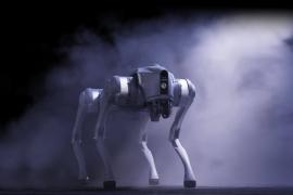 Robot Quadruped Unitree: Dari Riset AI hingga Operasi Industri Berat