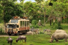 Taman Safari Indonesia Siap Dukung Transformasi Kebun Binatang Bandung sebagai Lembaga Konservasi Modern