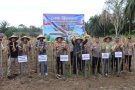 Polres Mukomuko melaksanakan kegiatan Panen Raya Jagung Serentak Kuartal II 